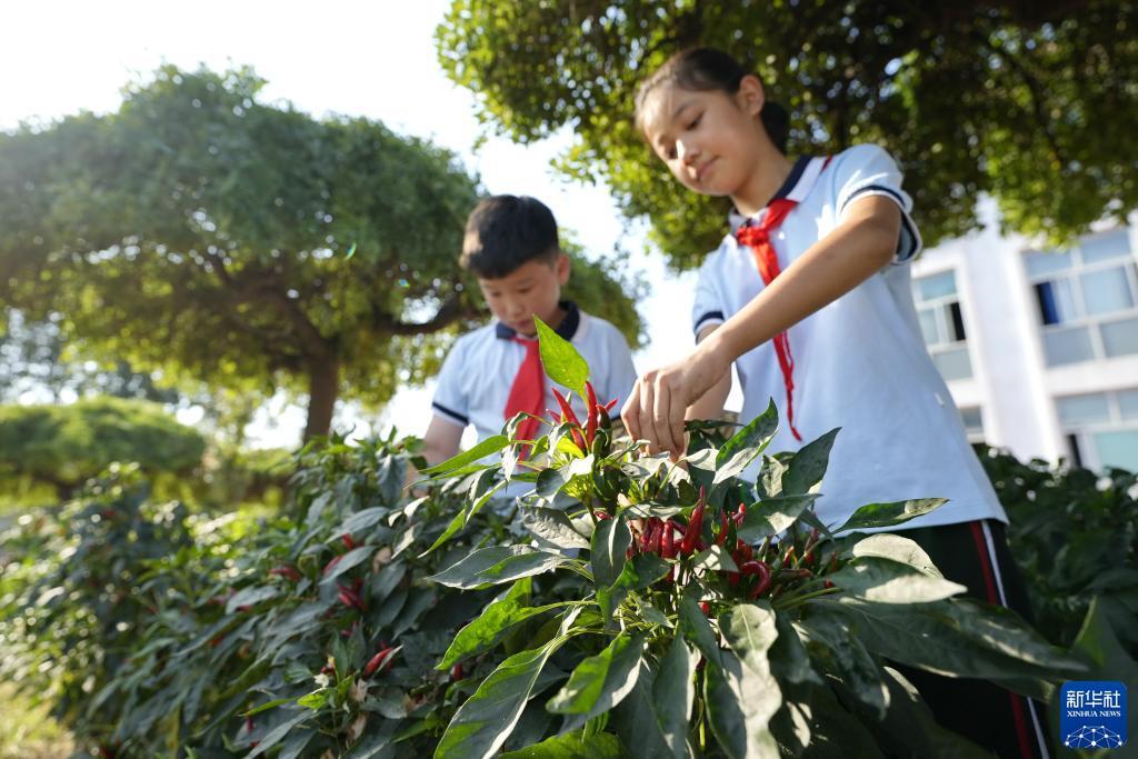 老虎机平台大全